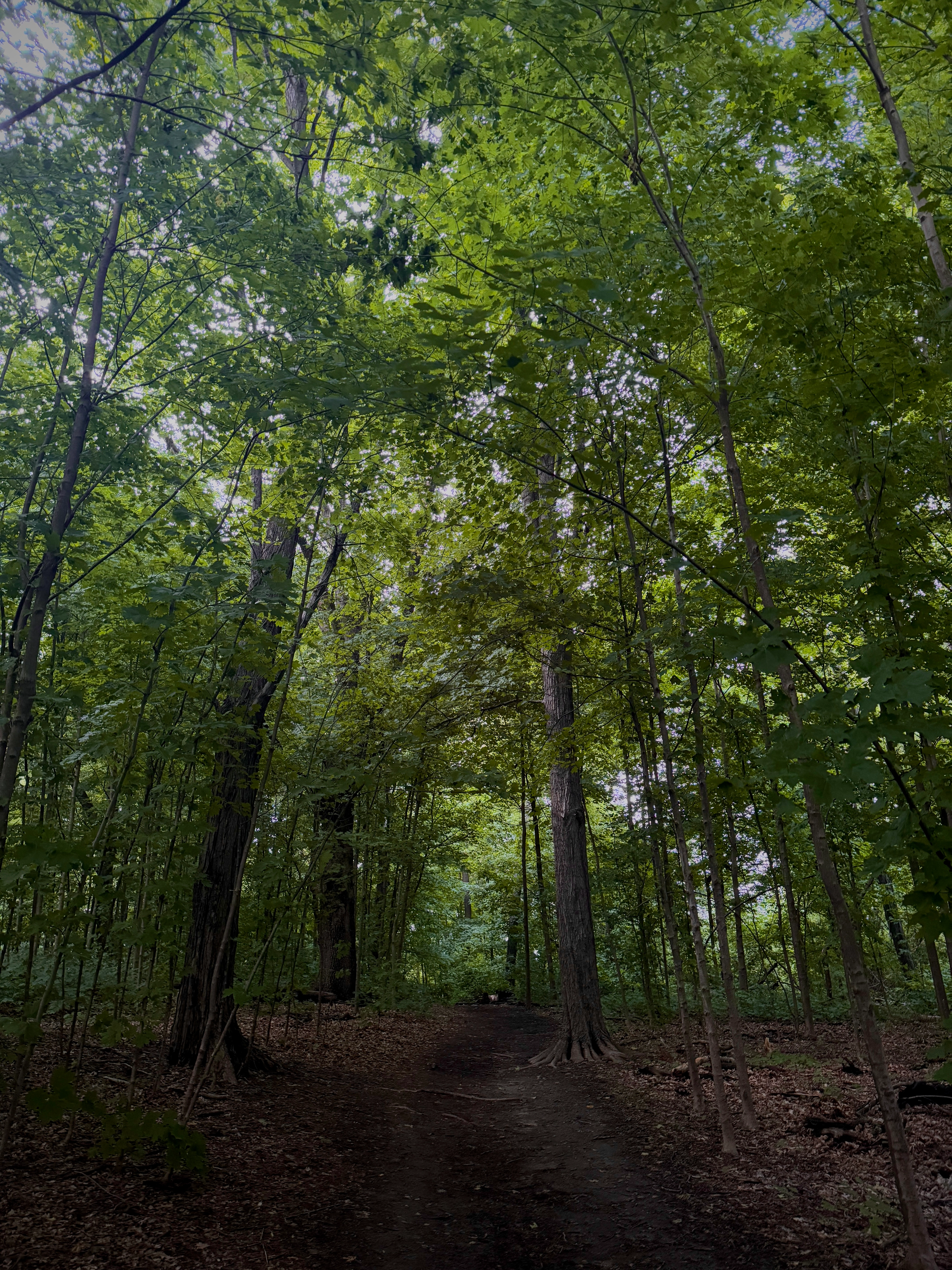Hiking